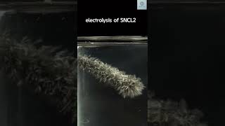 Electrolysis of sncl2 🥰✨👍🏻 science [upl. by Boylston]