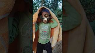 Baby monkey funny shorts 🤪 Bandar song baby funny monkey shorts [upl. by Aicnorev]