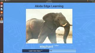 Akida incremental learning [upl. by Ramuk]