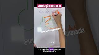 Minuto de fisiologia ventilação colateral [upl. by Dolan214]