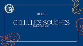 CELLULES SOUCHES  TUTO DU TUTO [upl. by Ahsilla]