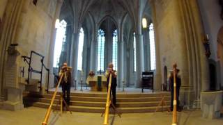 Haarstrang Alphornisten Marienkirche 2016  Bim Wägchrüz [upl. by Jacobo]