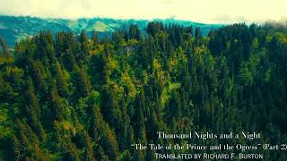 ASMR Reading Thousand Nights and a Night The Prince and the Ogress Part 23Whispered [upl. by Winwaloe217]