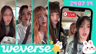 🤍 NewJeans 뉴진스 👖 240714  🔴 Weverse LIVE [upl. by Aicenod]