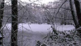 Unheilig Winterland  YouTube Music [upl. by Teahan91]