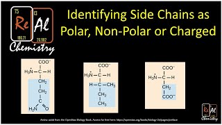 Identifying amino acid side chains as polar nonpolar or charged  Real Chemistry [upl. by Nalced]