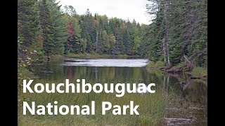 Kouchibouguac National Park  Late September  Geocaching  Kayaking [upl. by Acenes]