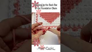 Crochet Pattern🪢WORKING IN THE BACK BAR BUMP of the Foundation Chain How to Crochet Blanket Afghan [upl. by Hernandez768]