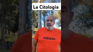 🧢La Citología 🧢 humor comedia risas chiste [upl. by Aehta]