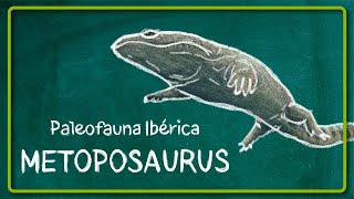 🐸Metoposaurus algarvensis animales de la Península Ibérica Triásico paleontologia portugal [upl. by Anilah]