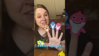 CUTE Baby Shark Finger Family Song🦈 kidssongs toddlersongs [upl. by Marteena]