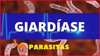 GIARDÍASE  GIARDIA LAMBLIA GIARDIA  PARASITOLOGIA  INFECTOLOGIA  TUDO SOBRE GIARDÍASE [upl. by Weitzman]