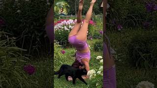 Play with my hair Yoga Forearm Stand Flow shorts [upl. by Brendan706]