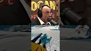 Joe Rogan Reacts to Skier Falling Clip ⛷️ [upl. by Ryder288]