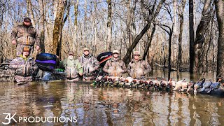 Arkansas Public Land Duck Hunting  January Mallards [upl. by Samella]