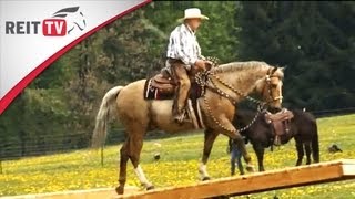 Westernreiten  Extreme Trail Park der Abenteuerspielplatz für Pferde [upl. by Josias22]