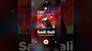 Sadi Gali  Remix [upl. by Ykcor]