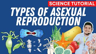 TYPES OF ASEXUAL REPRODUCTION  SCIENCE 7 QUARTER 2 WEEK 5 [upl. by Ulla]