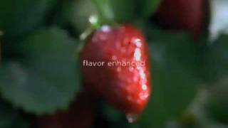 HäagenDazs  quotStrawberryquot Commercial [upl. by Menendez402]