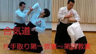 合気道「基本技」片手取り第一教抑え裏～第四教抑え裏（固め技）＜武骨で気概のある合気道＞「覇天会」AIKIDO IKKYO NIKYO SANKYO YONKYO 第二教裏 第三教裏 [upl. by Sewellyn]