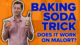 Malört Mixology Does Baking Soda Remove The Flavor [upl. by Schuyler814]