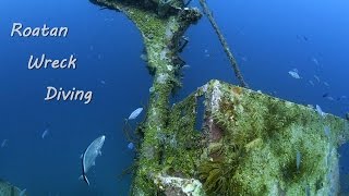 Roatan Wreck Diving [upl. by Lzeil860]