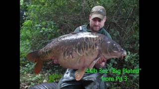 Frimley Pits Fishery 20142016 Captures [upl. by Ielirol818]