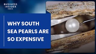 Why South Sea Pearls Are So Expensive  So Expensive [upl. by Odnomor]