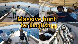 Massive hunt for kingfish in Abu Dhabi 😱🦈boat fishing [upl. by Ardis396]