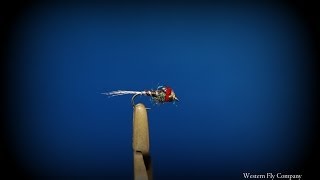 Lance Egans Iron Lotus mayfly Fly Tying Tutorial [upl. by Milone778]