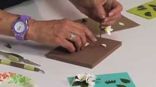 How to Use Sizzix Stephanotis Flower Die [upl. by Herodias]