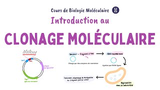 Introduction au clonage moléculaire de lADN [upl. by Aneet130]