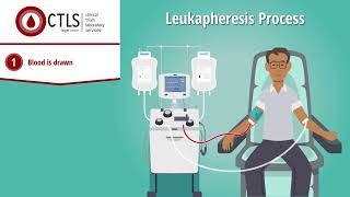 A Quick Look at Leukapheresis White Blood Cell Donation [upl. by Carrick]