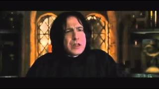 Best Snape Lines 394 [upl. by Imehon]