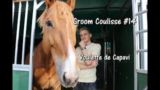 Groom Coulisse 14  Voulette de Capavi [upl. by Atteinotna]