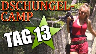 TAG 13 im DSCHUNGELCAMP 2019 ALLE GEGEN EVELYN [upl. by Thgiwed]