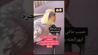 بغبان يقراء القران سبحان الله العظيم 😳 اكسبلور summer ترند دويتو تيكتوك [upl. by Earized]