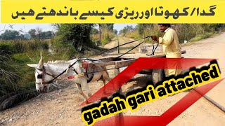 khota rari  Ghada gari attached system  gadah gari ride [upl. by Annahtur]