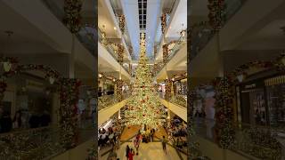 Christmas tree of Powerplant Mall Rockwell Center Makati Philippines 🇵🇭 🎄 christmas [upl. by Skrap]