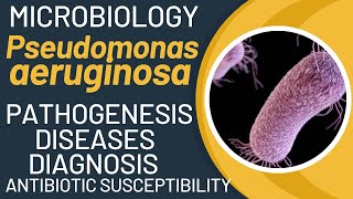 Pseudomonas aeruginosa pathogenesis  general properties virulence factors disease lab tests [upl. by Seeto990]