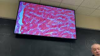 Histology Lab Lecture 9 and 10 Thyroid Parathyroid Pancreas Liver Hypophysis and Adrenal Gland [upl. by Eigram]