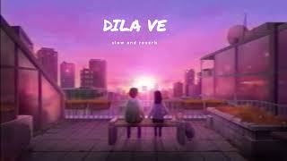 Dila Ve Dila Ve Slowed amp Reverb song [upl. by Htennaj920]