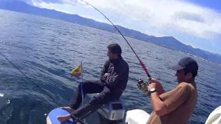 samas al vivo  pesca en Marbella [upl. by Cacka]