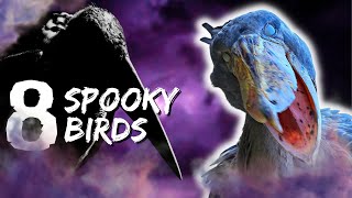 Scary Spooky Birds that Will Give You Chills for Halloween [upl. by Faber306]