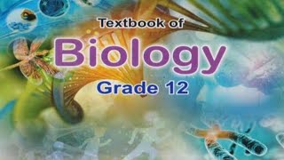 Mechanism of DNA replication xii Biology NBF [upl. by Follmer676]