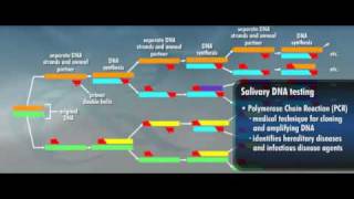 OralDNA Salivary Diagnostic Aids [upl. by Ellenuahs]