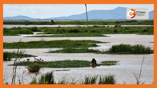 Team visits source of Nairobi river in Kiambu County [upl. by Marsh]