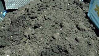 1 yard of compost soil [upl. by Suruat]