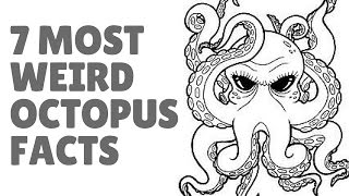 Octopus Facts  Interesting Facts About Octopuses [upl. by Obeded646]