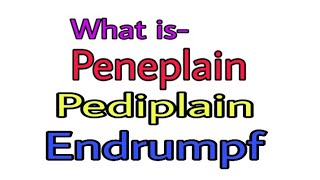 What are Peneplain Pediplain and Endrumpf Hindi and English [upl. by Pich]